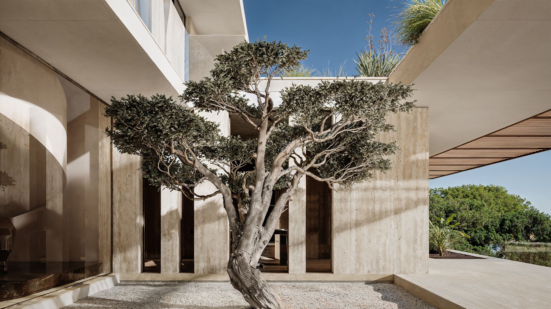 Villa in south of France for sale - olive courtyard patio